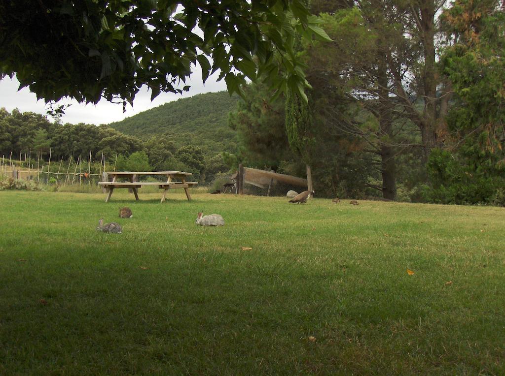 Hostal Mas Roquet Maçanet de Cabrenys Exterior foto
